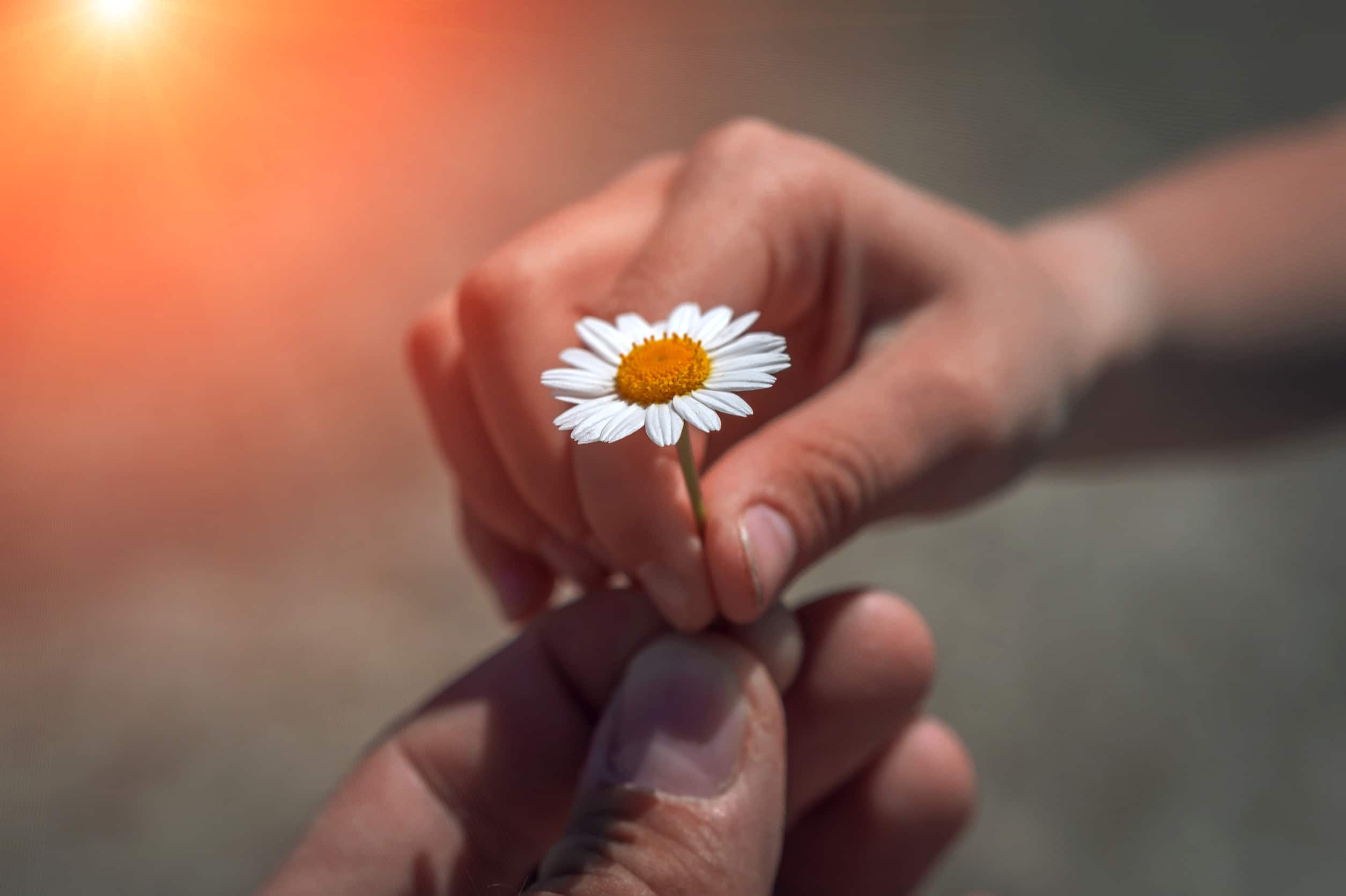 Choosing The Right Care Support For Peace Of Mind